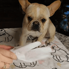 Deodorizing Pet Glove Wipes (18-Pack) Mud- Free Paws