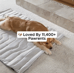 Dual-Side Cooling Dog Mat