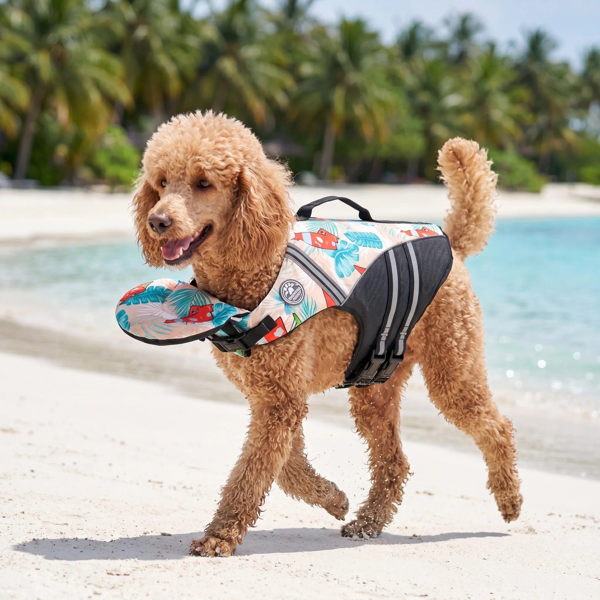 Dog Life Jacket with Head Support
