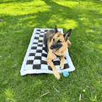 Deluxe Back Seat Dog Bed Mat