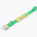 Waterproof Dog Collar with Custom Name Charms