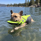 Dog Life Jacket with Head Support