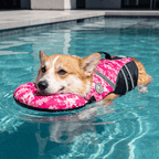 Dog Life Jacket with Head Support