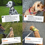 Personalized Dog Harness with Name Patch Fursera