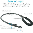 Dual Dog Leash – No-Tangle 360° Swivel Bungee Leash for Two Dogs