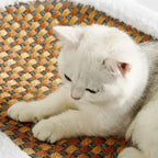 Scratch Lounge – Soft Plush Lounge Bed for Indoor Cats