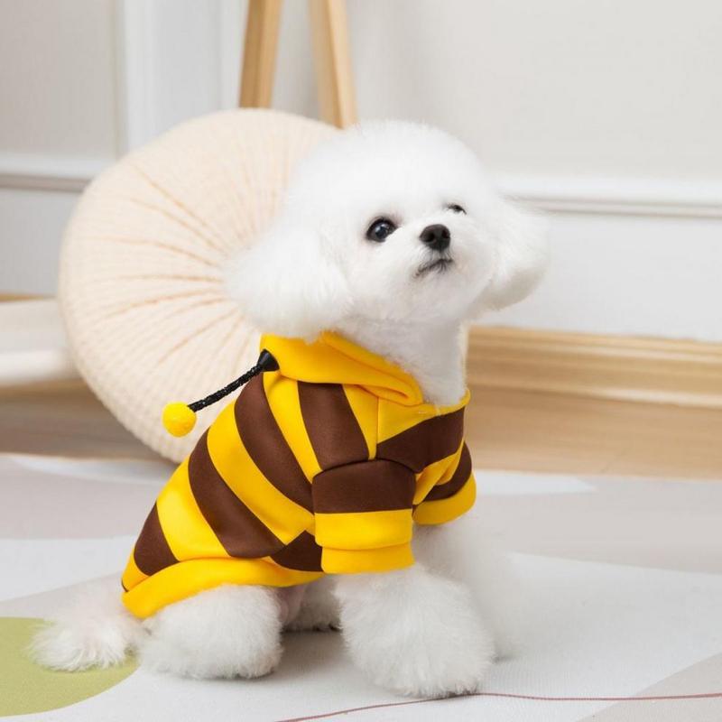 Bumblebee Cat Hoodie – Cute Bee Costume for Cats & Dogs Fursera