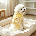 Yellow Striped Pet Pajamas with Star Hood Fursera