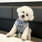 Plaid Collar Pet Vest – Classic Preppy Shirt for Cats & Dogs Fursera