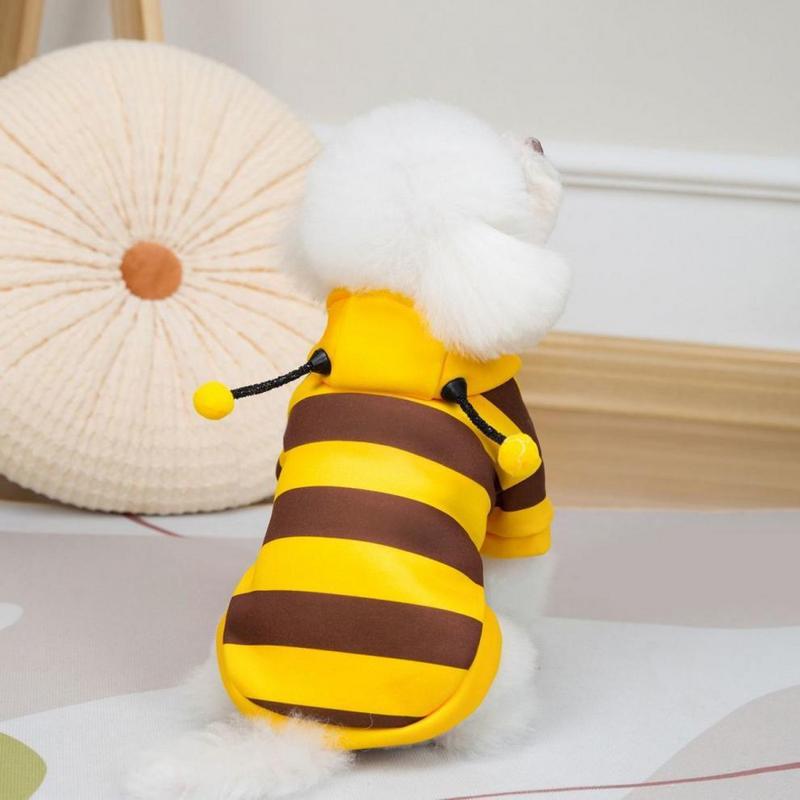 Bumblebee Cat Hoodie – Cute Bee Costume for Cats & Dogs Fursera