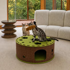 Felt Cat Tunnel & Hideaway – 2-in-1 Interactive Playhouse & Cozy Bed Fursera