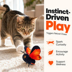 Interactive Automatic Butterfly Teaser for Indoor Cats Fursera